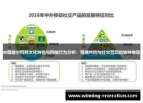 中国塞尔网民文化特色与网络行为分析：情感共鸣与社交互动的独特表现